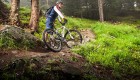 banner mountainbike forrest